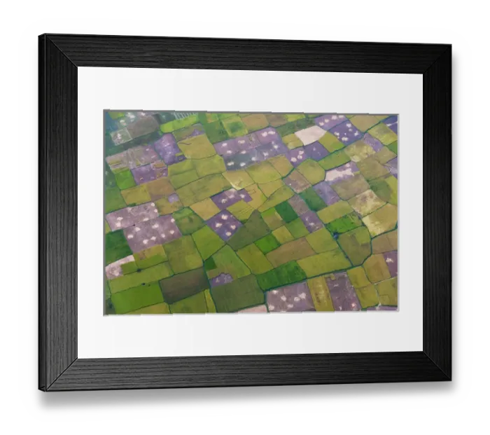 Framed Print : Aerial view of farmland, Makassar, Sulawesi island, Indonesia Framed Print : Aerial view of farmland, Makassar, Sulawesi island, Indonesia