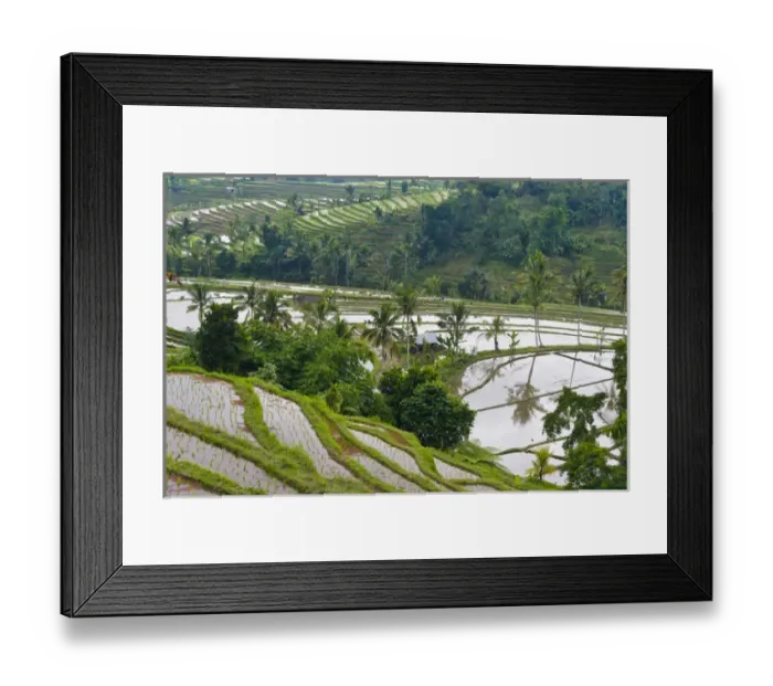 Framed Print : Water filled rice terraces, Bali island, Indonesia Framed Print : Water filled rice terraces, Bali island, Indonesia