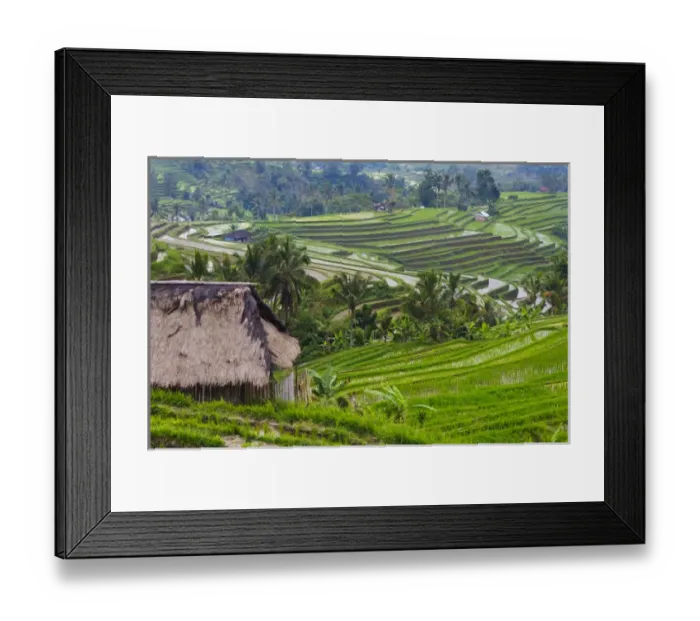 Framed Print : Water filled rice terraces, Bali island, Indonesia