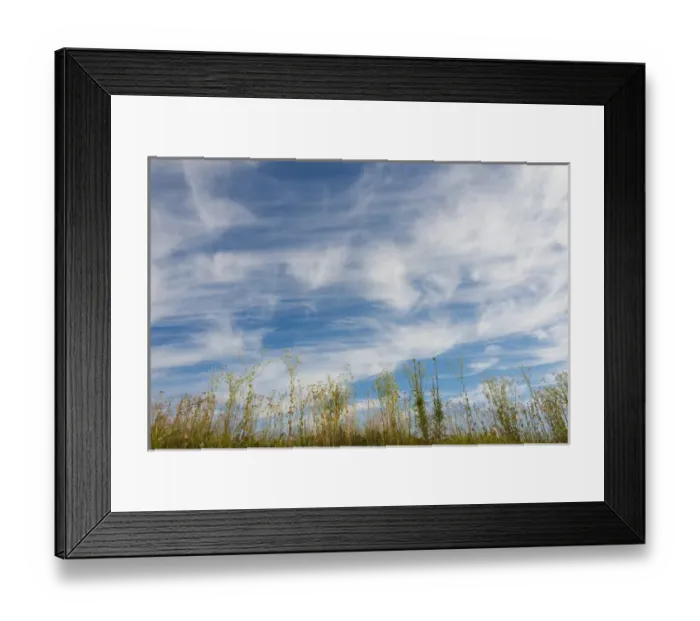 Framed Print : Wild flowers under sky of clouds, Furano, Hokkaido Prefecture, Japan Framed Print : Wild flowers under sky of clouds, Furano, Hokkaido Prefecture, Japan