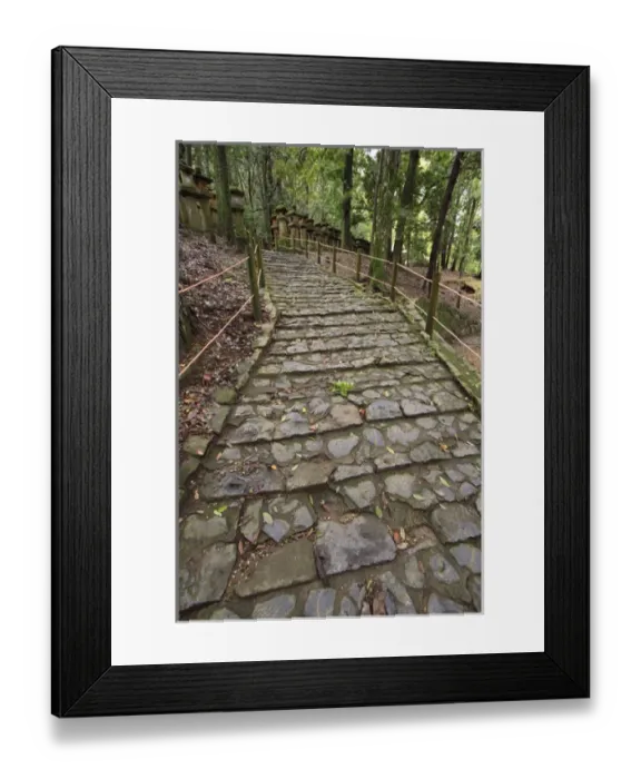 Framed Print : A cobble stone path leading through the grounds of Kasuga Taisha Shrine in Nara, Japan Framed Print : A cobble stone path leading through the grounds of Kasuga Taisha Shrine in Nara, Japan