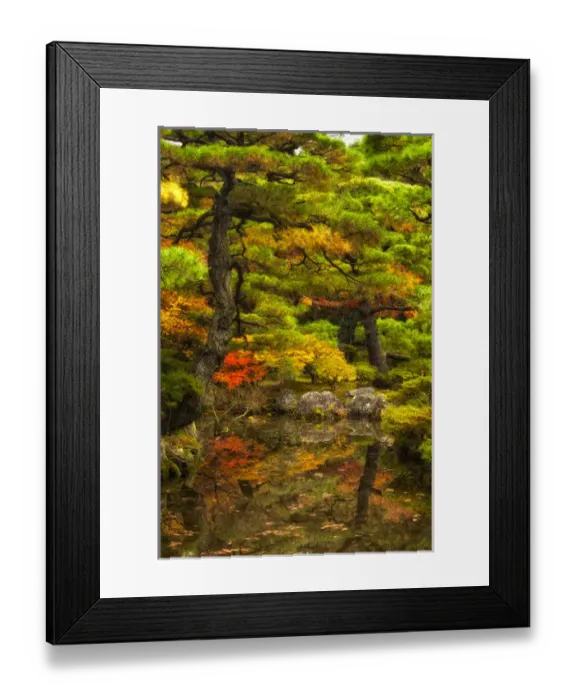 Framed Print : Kyoto, Japan, Fall colors and reflection in water