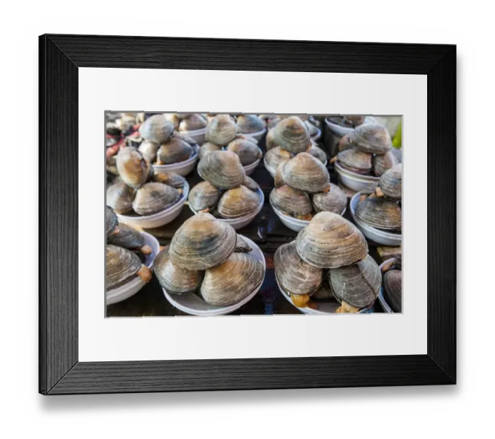 Framed Print : Mussles for sale at the fish market in Busan, South Korea Framed Print : Mussles for sale at the fish market in Busan, South Korea