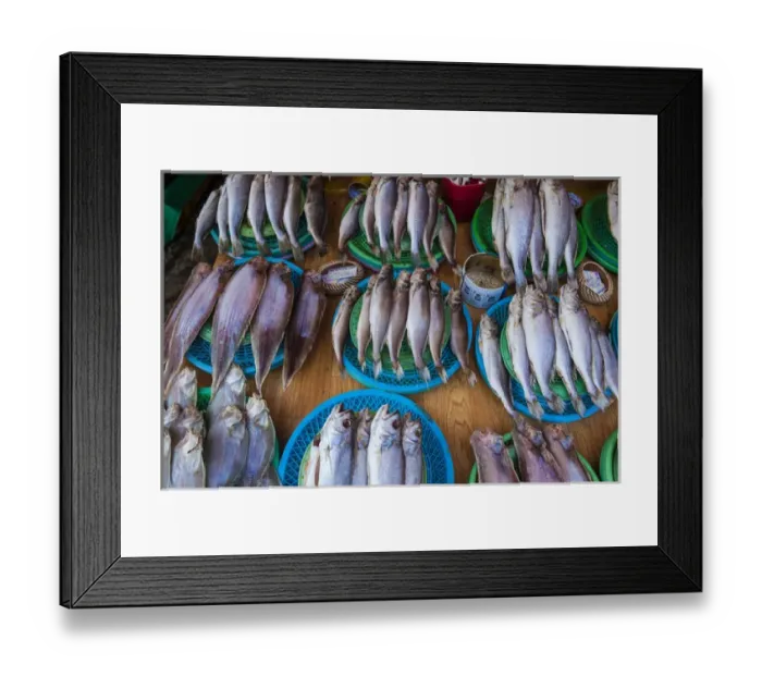 Framed Print : Fish for sale in the fish market of Busan, South Korea Framed Print : Fish for sale in the fish market of Busan, South Korea