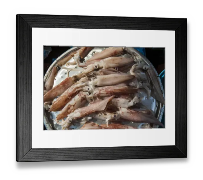 Framed Print : Fish for sale in the fish market of Busan, South Korea Framed Print : Fish for sale in the fish market of Busan, South Korea