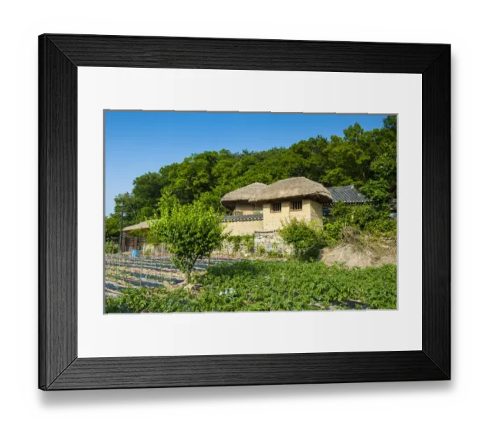 Framed Print : Field before traditional wooden houses in the Yangdong folk village near Gyeongju Framed Print : Field before traditional wooden houses in the Yangdong folk village near Gyeongju