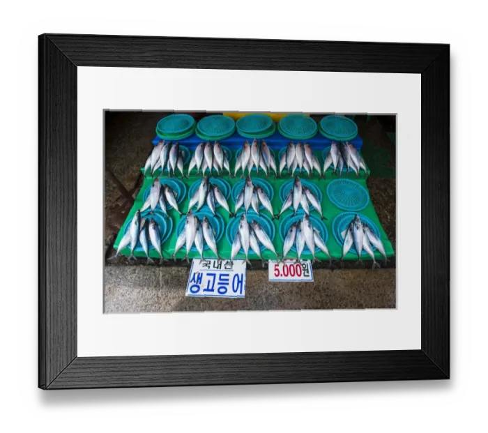 Framed Print : Fish for sale at the modern fish market in Busan, South Korea