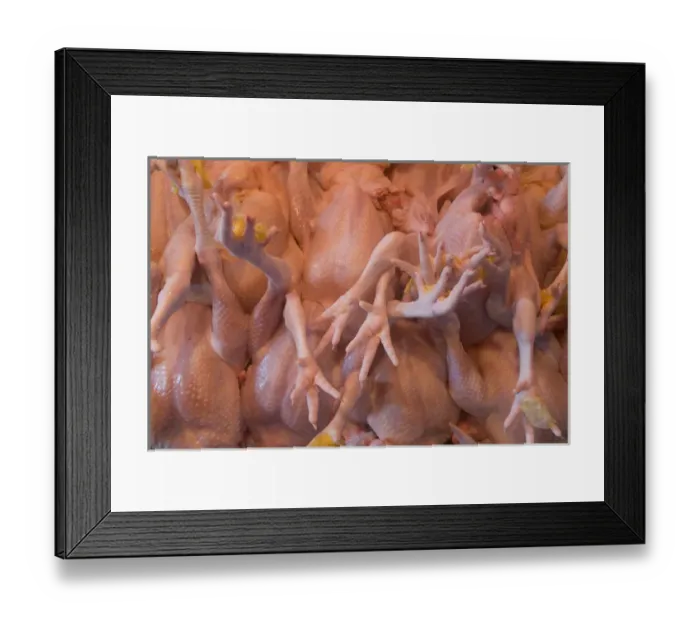 Framed Print : Chickens in market, Kuala Lumpur, Malaysia Framed Print : Chickens in market, Kuala Lumpur, Malaysia