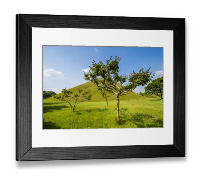 Framed Print : Tumuli park with its tombs from the Shilla monarchs in the Unesco world heritage sight Gyeongju Framed Print : Tumuli park with its tombs from the Shilla monarchs in the Unesco world heritage sight Gyeongju