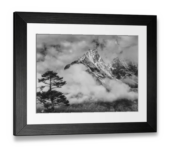 Framed Print : Nepal Himalayas Mountain and Tree Framed Print : Nepal Himalayas Mountain and Tree