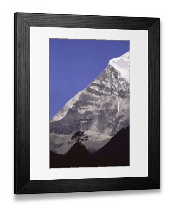 Framed Print : A tree silhouetted against a high Himalayan peak on the outskirts of the trekking town of Namche Framed Print : A tree silhouetted against a high Himalayan peak on the outskirts of the trekking town of Namche