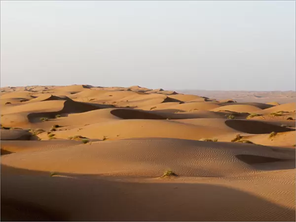 Wahiba Sands desert, Oman