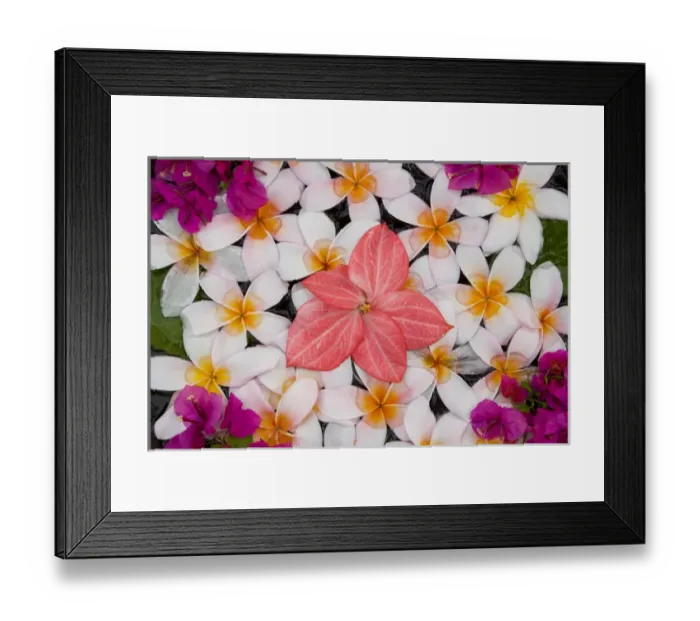 Framed Print : Floral decoration, Palau Pangkor Laut, Malaysia Framed Print : Floral decoration, Palau Pangkor Laut, Malaysia