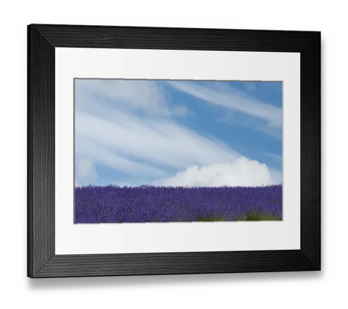 Framed Print : Lavender farm, Furano, Hokkaido Prefecture, Japan