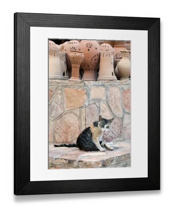 Framed Print : Nizwa souq, Oman Framed Print : Nizwa souq, Oman