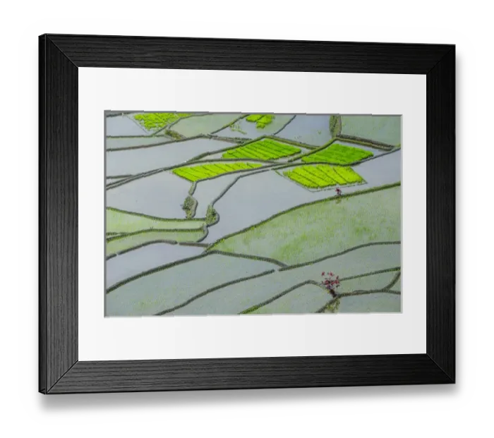 Framed Print : Unesco world heritage sight the rice terraces of Banaue, Northern Luzon, Philippines Framed Print : Unesco world heritage sight the rice terraces of Banaue, Northern Luzon, Philippines