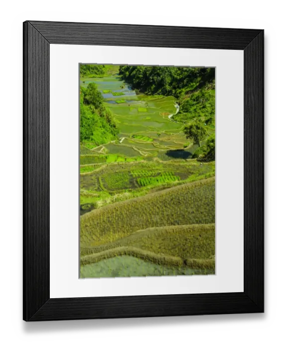 Framed Print : Unesco world heritage sight the rice terraces of Banaue, Northern Luzon, Philippines