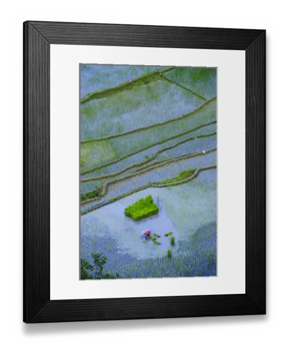 Framed Print : Unesco world heritage sight the rice terraces of Banaue, Northern Luzon, Philippines Framed Print : Unesco world heritage sight the rice terraces of Banaue, Northern Luzon, Philippines