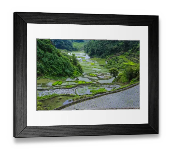 Framed Print : Unesco world heritage sight the rice terraces of Banaue, Northern Luzon, Philippines Framed Print : Unesco world heritage sight the rice terraces of Banaue, Northern Luzon, Philippines