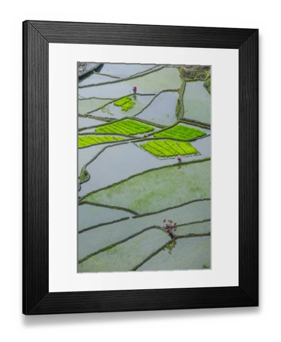 Framed Print : Unesco world heritage sight the rice terraces of Banaue, Northern Luzon, Philippines Framed Print : Unesco world heritage sight the rice terraces of Banaue, Northern Luzon, Philippines
