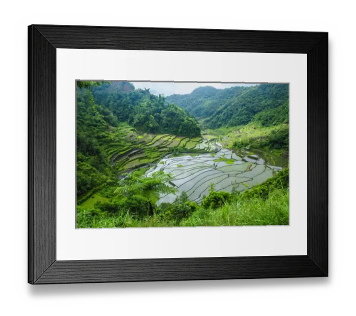 Framed Print : Unesco world heritage sight the rice terraces of Banaue, Northern Luzon, Philippines Framed Print : Unesco world heritage sight the rice terraces of Banaue, Northern Luzon, Philippines