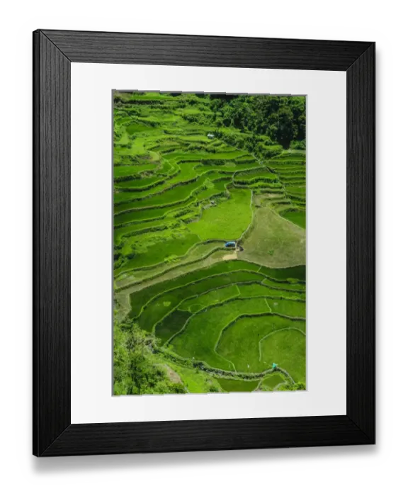 Framed Print : Bangaan in the rice terraces of Banaue, Northern Luzon, Philippines