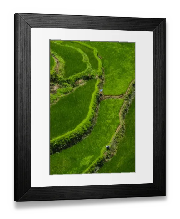 Framed Print : Bangaan in the rice terraces of Banaue, Northern Luzon, Philippines Framed Print : Bangaan in the rice terraces of Banaue, Northern Luzon, Philippines