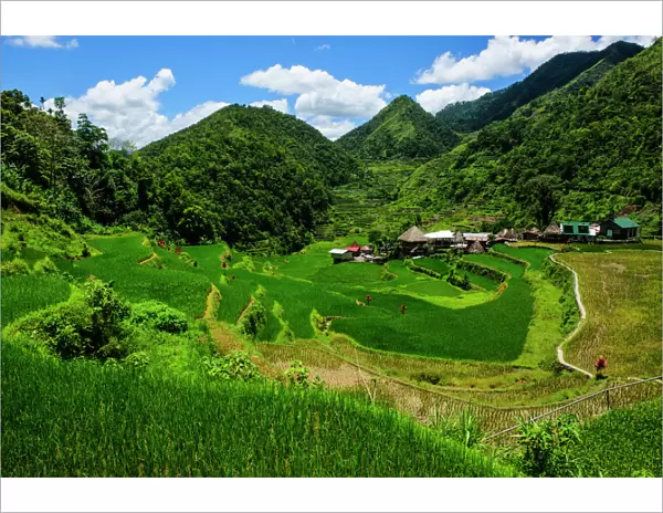 Bangaan in the rice terraces of Banaue, Northern Luzon, Philippines