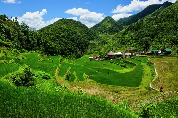 Bangaan in the rice terraces of Banaue, Northern Luzon, Philippines