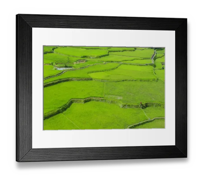 Framed Print : Hapao rice terraces part of the world heritage sight Banaue, Luzon, Philippines Framed Print : Hapao rice terraces part of the world heritage sight Banaue, Luzon, Philippines