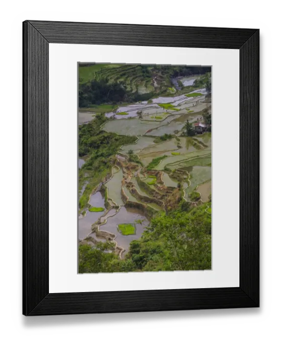 Framed Print : Unesco world heritage sight the rice terraces of Banaue, Northern Luzon, Philippines Framed Print : Unesco world heritage sight the rice terraces of Banaue, Northern Luzon, Philippines