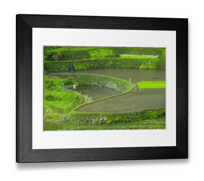Framed Print : Unesco world heritage sight the rice terraces of Banaue, Northern Luzon, Philippines