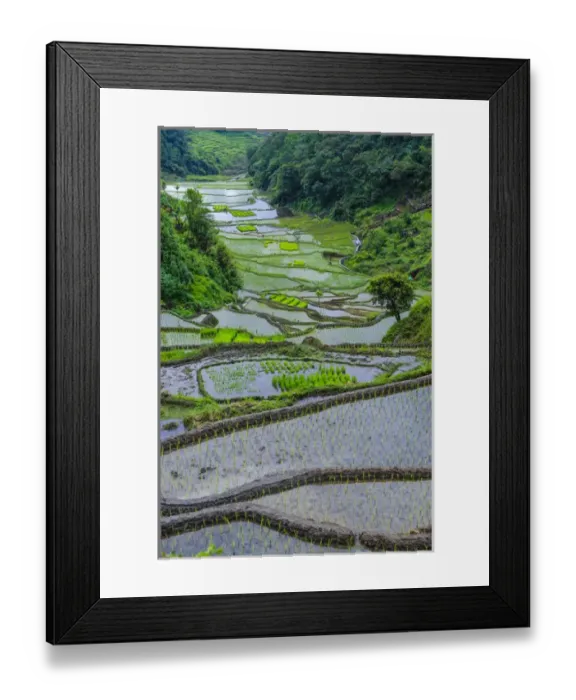 Framed Print : Unesco world heritage sight the rice terraces of Banaue, Northern Luzon, Philippines Framed Print : Unesco world heritage sight the rice terraces of Banaue, Northern Luzon, Philippines