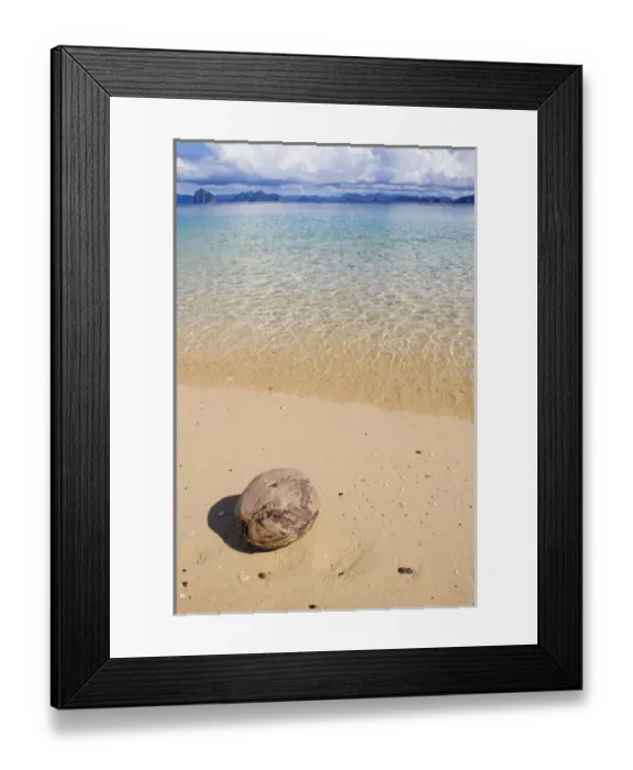 Framed Print : Coconut on a sandy beach in the Bacuit archipelago, Palawan, Philippines
