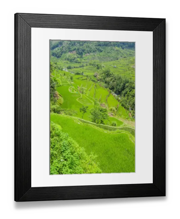 Framed Print : Hapao rice terraces part of the world heritage sight Banaue, Luzon, Philippines Framed Print : Hapao rice terraces part of the world heritage sight Banaue, Luzon, Philippines
