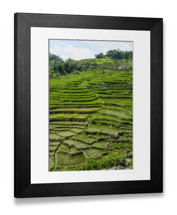 Framed Print : Hapao rice terraces part of the world heritage sight Banaue, Luzon, Philippines Framed Print : Hapao rice terraces part of the world heritage sight Banaue, Luzon, Philippines