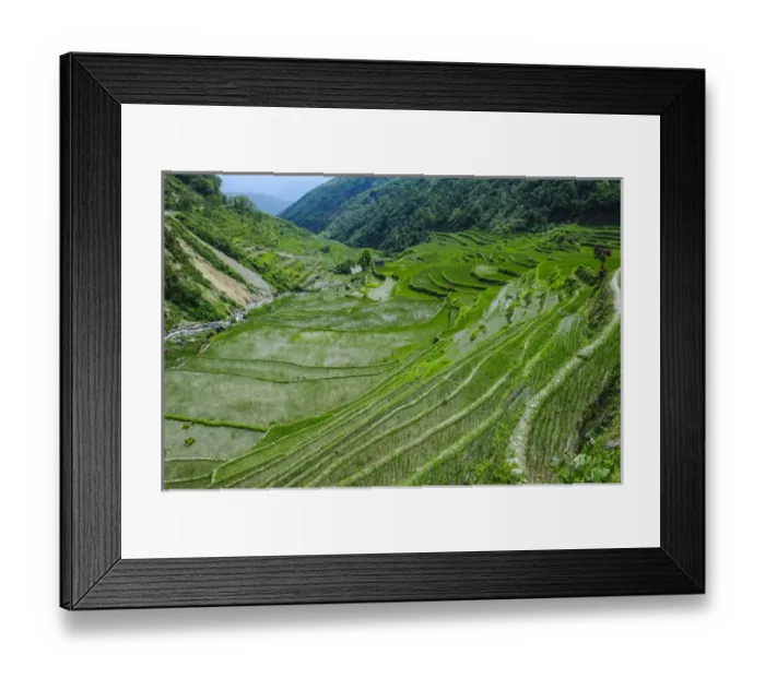 Framed Print : Hapao rice terraces part of the world heritage sight Banaue, Luzon, Philippines Framed Print : Hapao rice terraces part of the world heritage sight Banaue, Luzon, Philippines