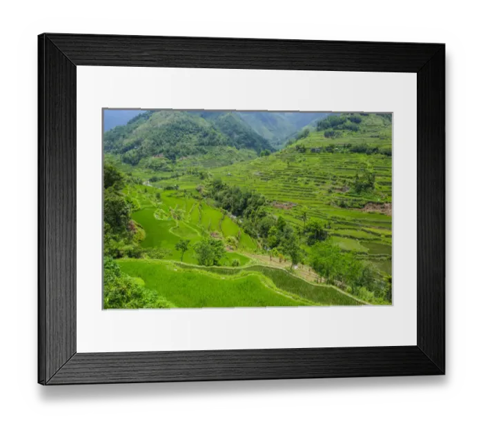 Framed Print : Hapao rice terraces part of the world heritage sight Banaue, Luzon, Philippines Framed Print : Hapao rice terraces part of the world heritage sight Banaue, Luzon, Philippines