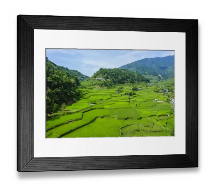 Framed Print : Hapao rice terraces part of the world heritage sight Banaue, Luzon, Philippines
