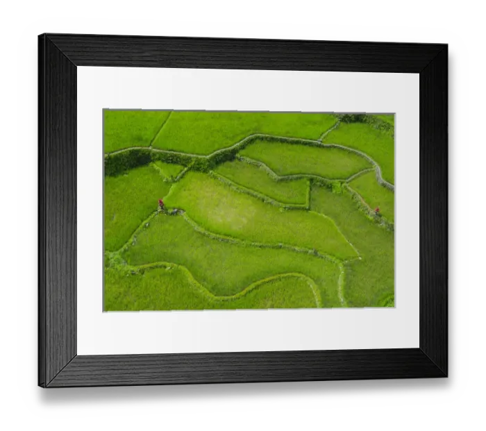 Framed Print : Hapao rice terraces part of the world heritage sight Banaue, Luzon, Philippines Framed Print : Hapao rice terraces part of the world heritage sight Banaue, Luzon, Philippines