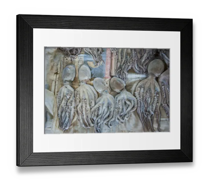 Framed Print : Squid for sale at the fish markeet in Busan, South Korea Framed Print : Squid for sale at the fish markeet in Busan, South Korea
