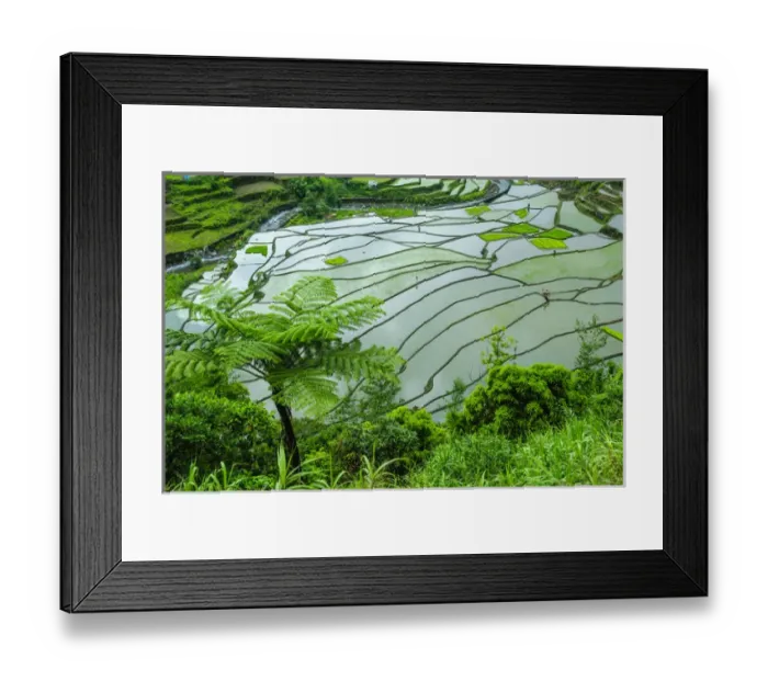 Framed Print : Unesco world heritage sight the rice terraces of Banaue, Northern Luzon, Philippines Framed Print : Unesco world heritage sight the rice terraces of Banaue, Northern Luzon, Philippines