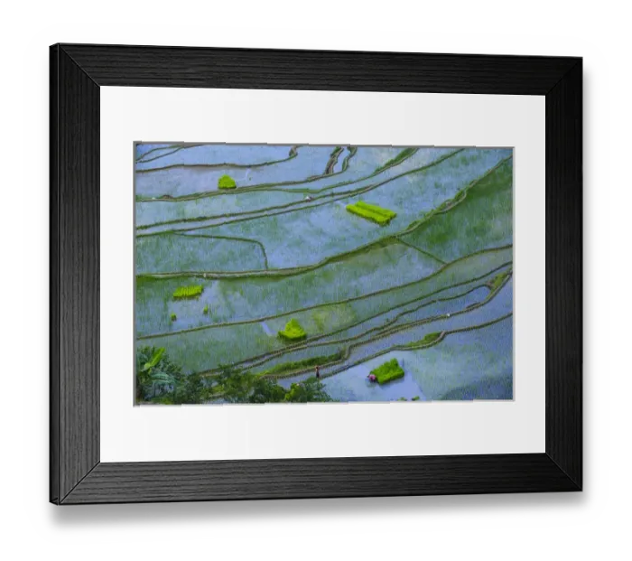 Framed Print : Unesco world heritage sight the rice terraces of Banaue, Northern Luzon, Philippines Framed Print : Unesco world heritage sight the rice terraces of Banaue, Northern Luzon, Philippines