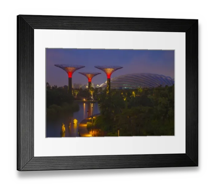 Framed Print : Singapore. Garden by the Sea towers at night
