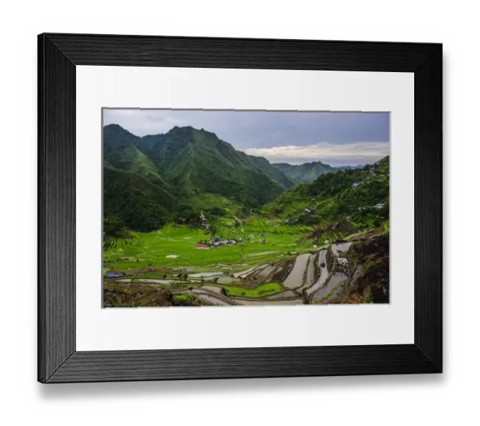 Framed Print : Batad rice terraces part of the world heritage sight Banaue, Luzon, Philippines
