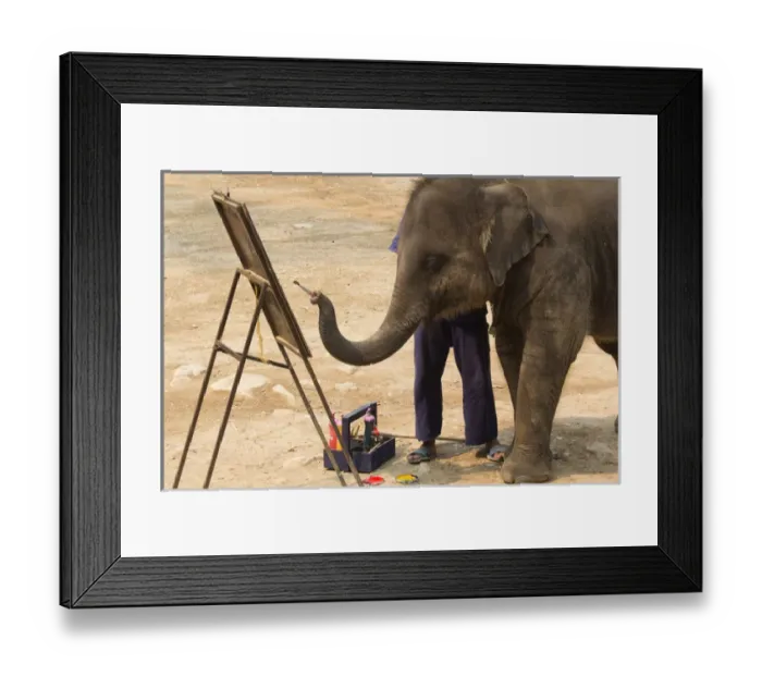 Framed Print : Thailand, Maesa Elephant Camp. Elephants use their trunks to paint pictures Framed Print : Thailand, Maesa Elephant Camp. Elephants use their trunks to paint pictures
