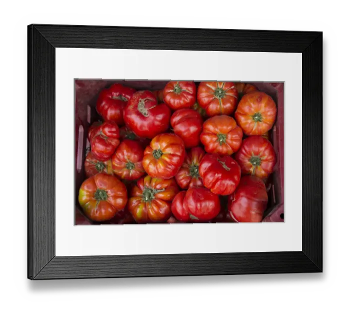 Framed Print : Turkey, Gaziantep, informally called Antep, is a city in southeast Turkey among