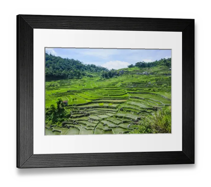 Framed Print : Hapao rice terraces part of the world heritage sight Banaue, Luzon, Philippines Framed Print : Hapao rice terraces part of the world heritage sight Banaue, Luzon, Philippines