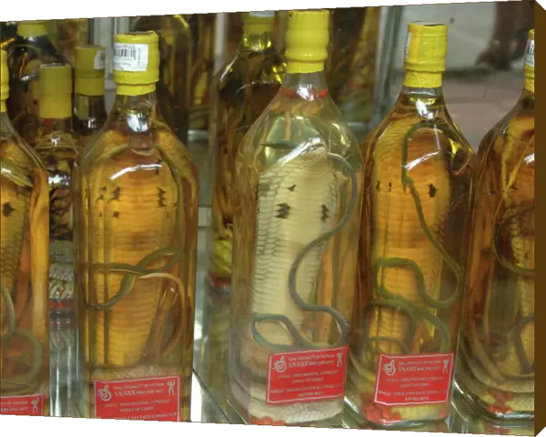 Asia, Vietnam. Snake wine for sale in a Saigon store, Ho Chi Minh City