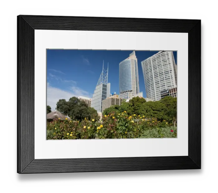 Framed Print : Australia, NSW, Sydney. Downtown city skyline view from the Royal Botanic Gardens Framed Print : Australia, NSW, Sydney. Downtown city skyline view from the Royal Botanic Gardens